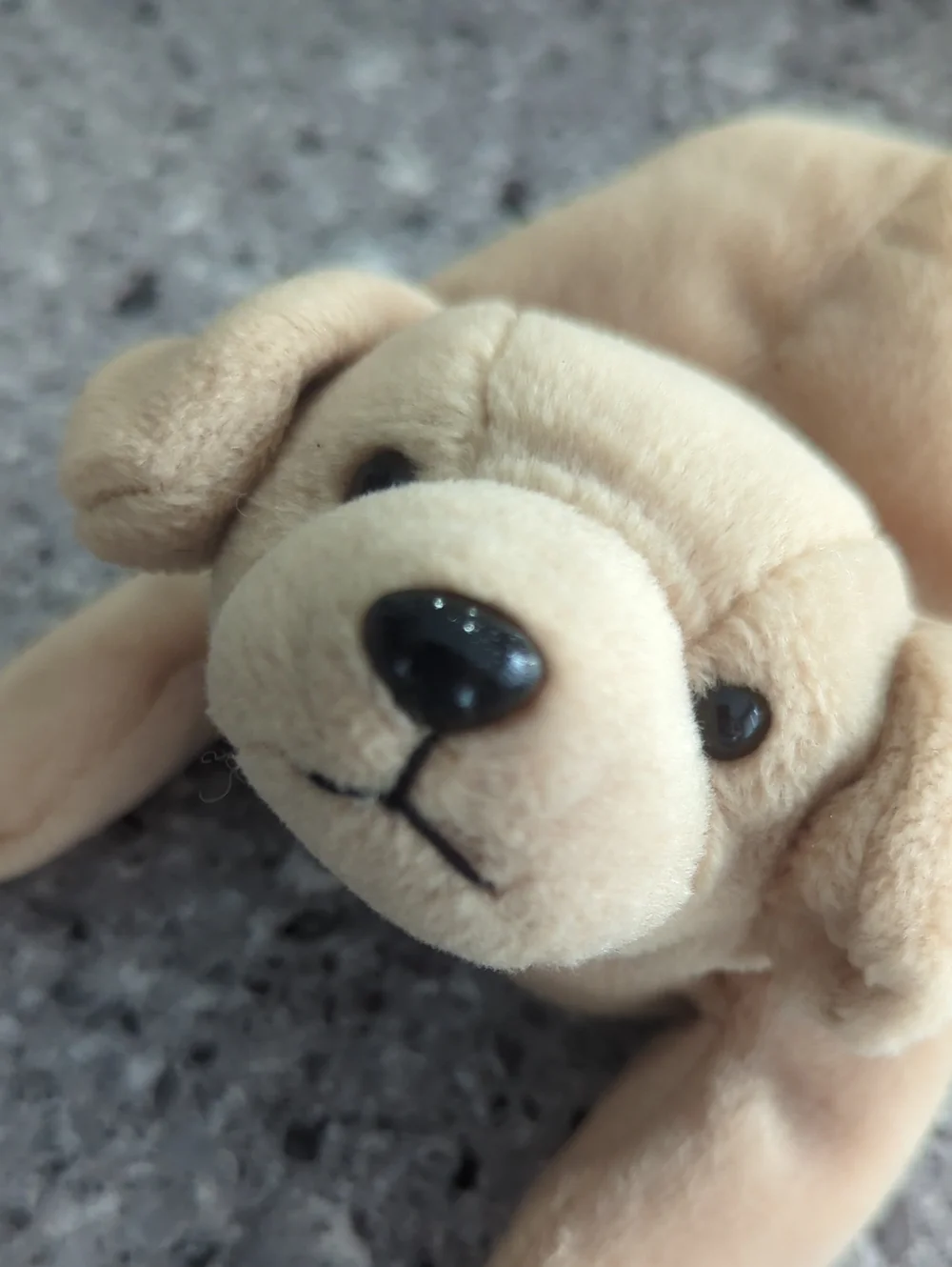 Ty Beanie Baby - Fetch